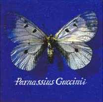 Parnassius Guccinii 1993